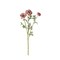 Artificial Pink Ranunculus Stem 18 Inch Faux Flower-18803C-PK